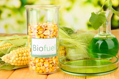 Stean biofuel availability