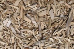 biomass boilers Stean