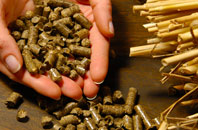 free Stean biomass boiler quotes