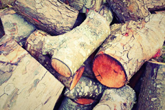 Stean wood burning boiler costs